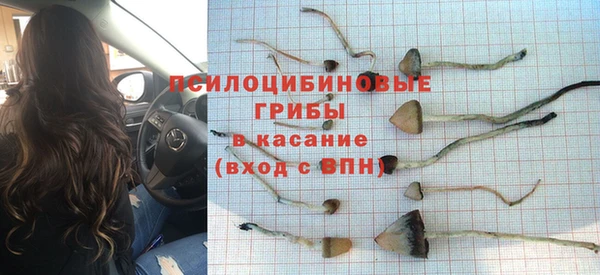 стафф Кодинск