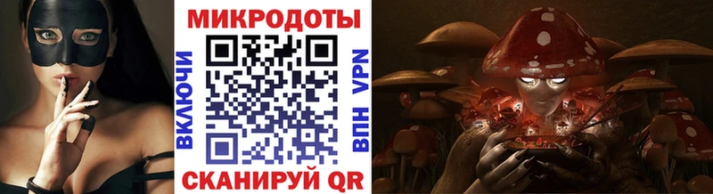 Псилоцибиновые грибы Psilocybe  блэк спрут рабочий сайт  Кыштым 